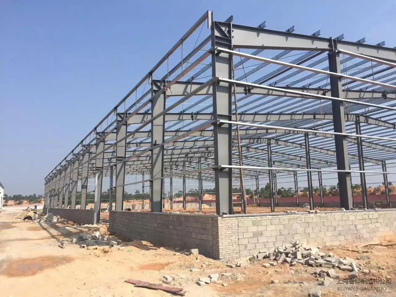 �_(d��)��-���̰���